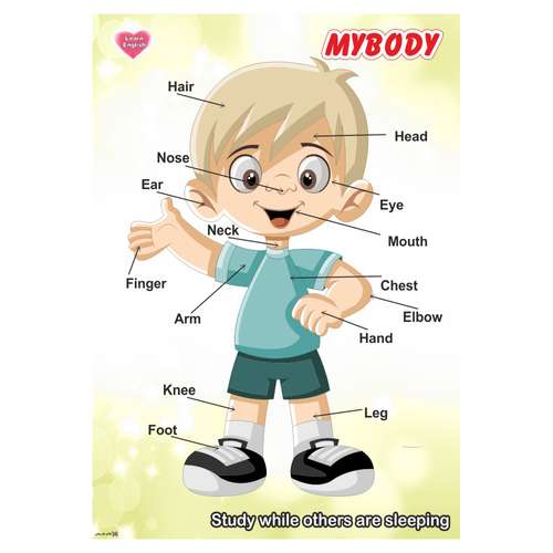 پوستر آموزشی چاپ پارسیان طرح آموزش زبان انگلیسی مدل 020 MYBODY