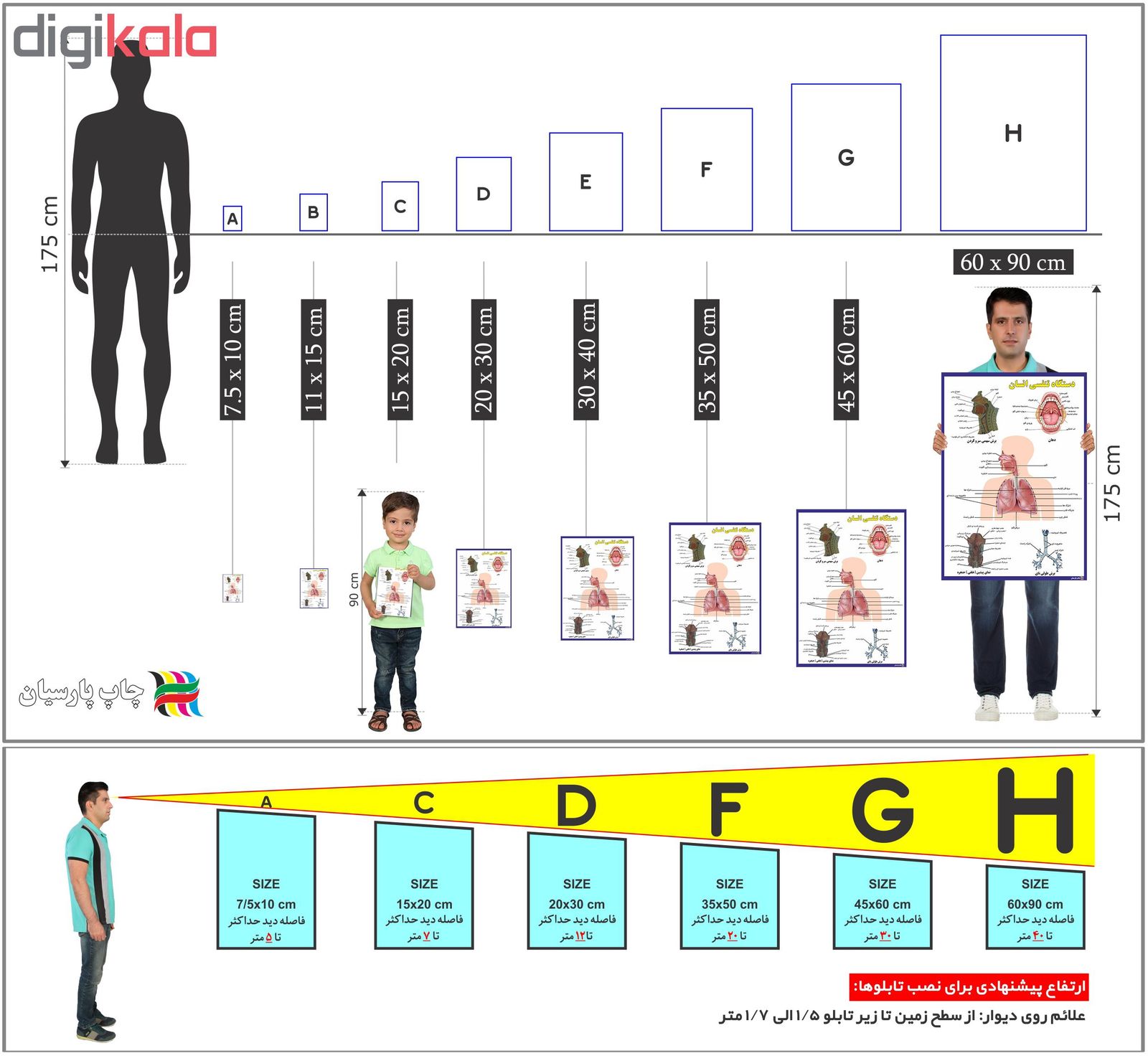 پوستر آموزشی چاپ پارسیان طرح دستگاه تنفسی انسان مدل 008 - - 3