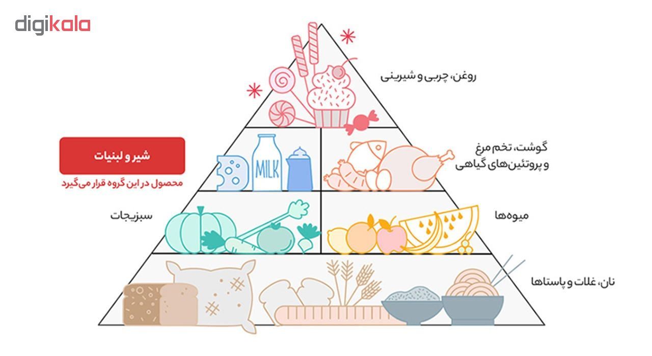 پنیر لاکتیکی هراز وزن 270 گرم