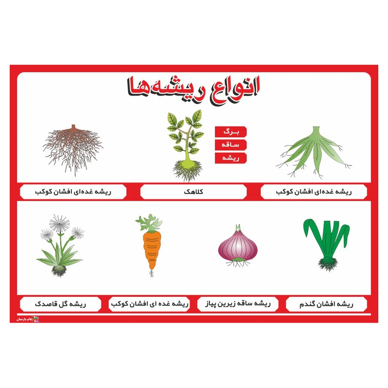 عکس شماره 1