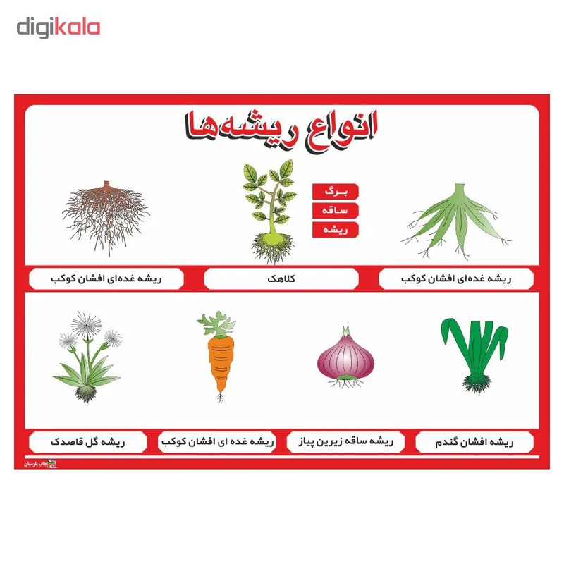 عکس شماره 2