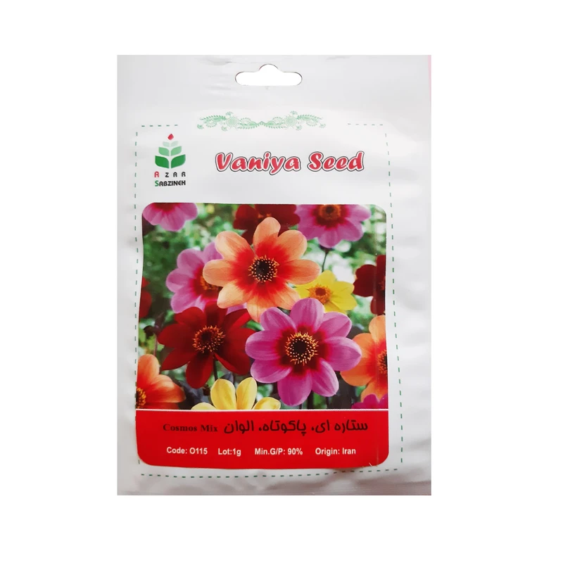بذر ستاره ای پاکوتاه الوان آذر سبزینه مدل O115