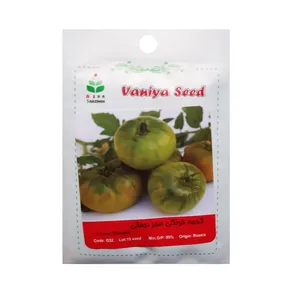 بذر گوجه فرنگی سبز بوته ای آذر سبزینه مدل G32