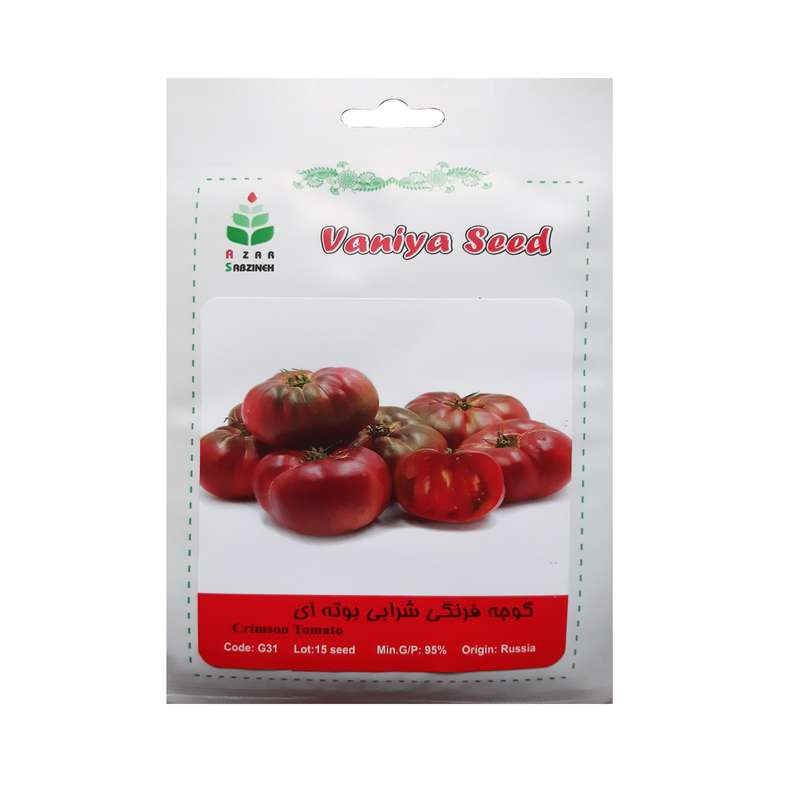 بذر گوجه فرنگی شرابی بوته ای آذر سبزینه مدل G31