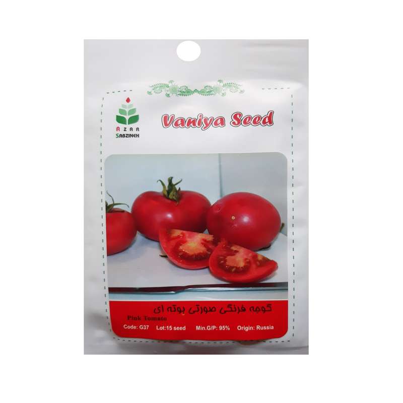 بذر گوجه فرنگی صورتی بوته ای آذر سبزینه مدل G37