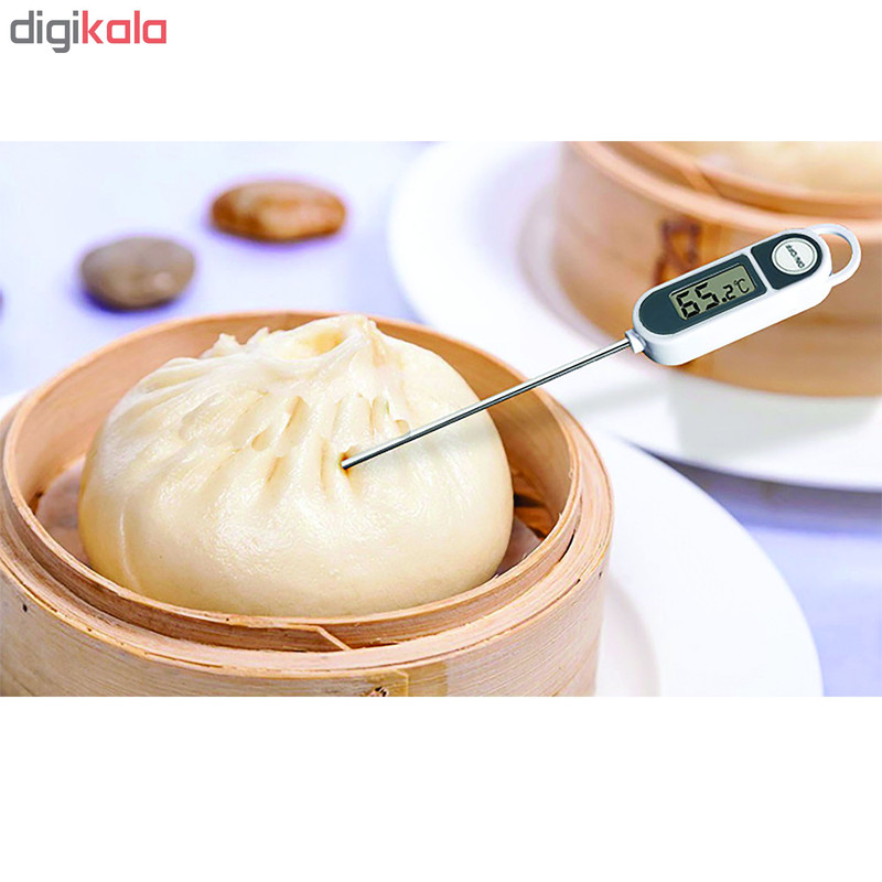 دماسنج تی اف ای مدل 30.1048