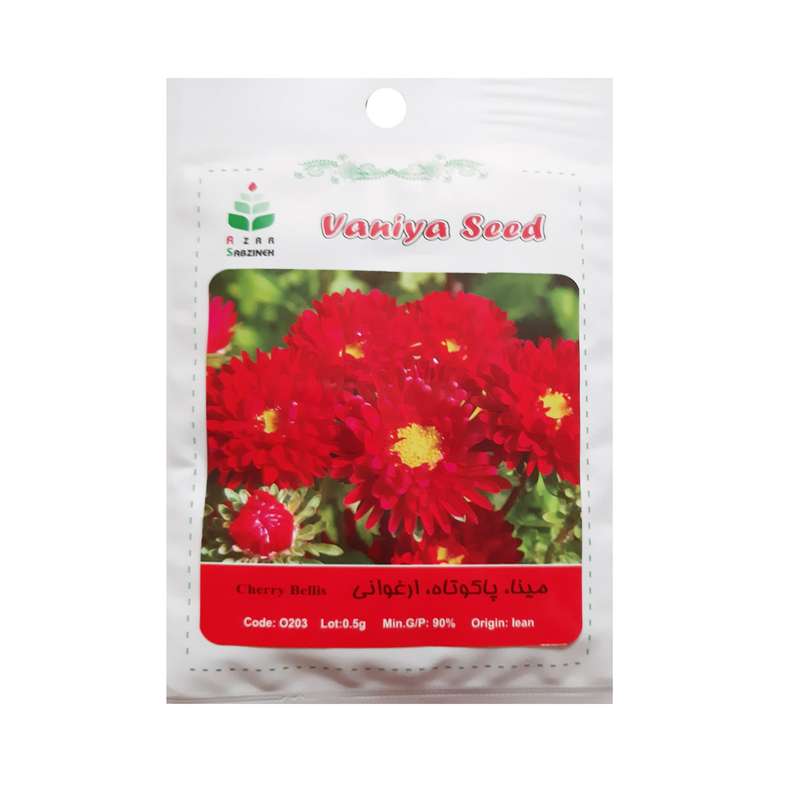 بذر مینا پاکوتاه ارغوانی آذر سبزینه مدل O203