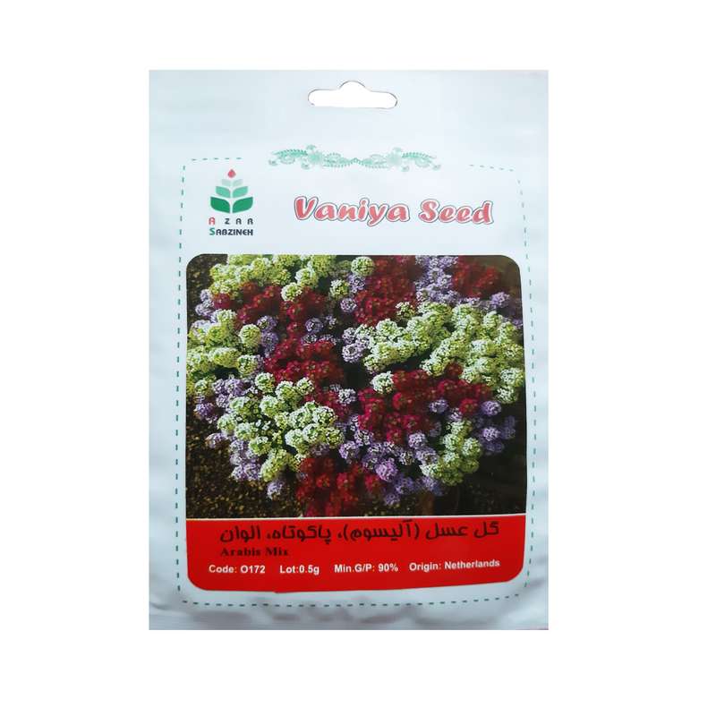 بذر گل عسل پاکوتاه الوان آذر سبزینه مدل O172