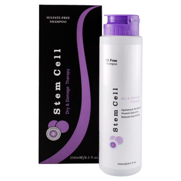 شامپو مو استم سل مدل Dry Damage Therapy حجم 250 میلی لیتر