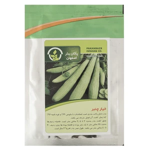 بذر خیار چنبر پاکان بذر