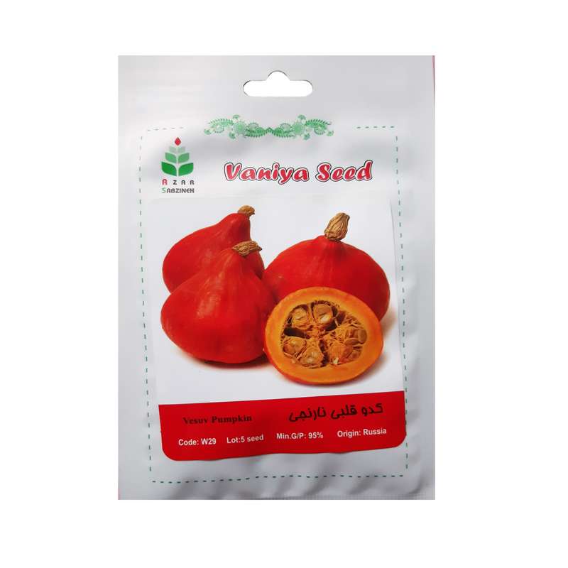 بذر کدو قلبی نارنجی آذر سبزینه مدل W29