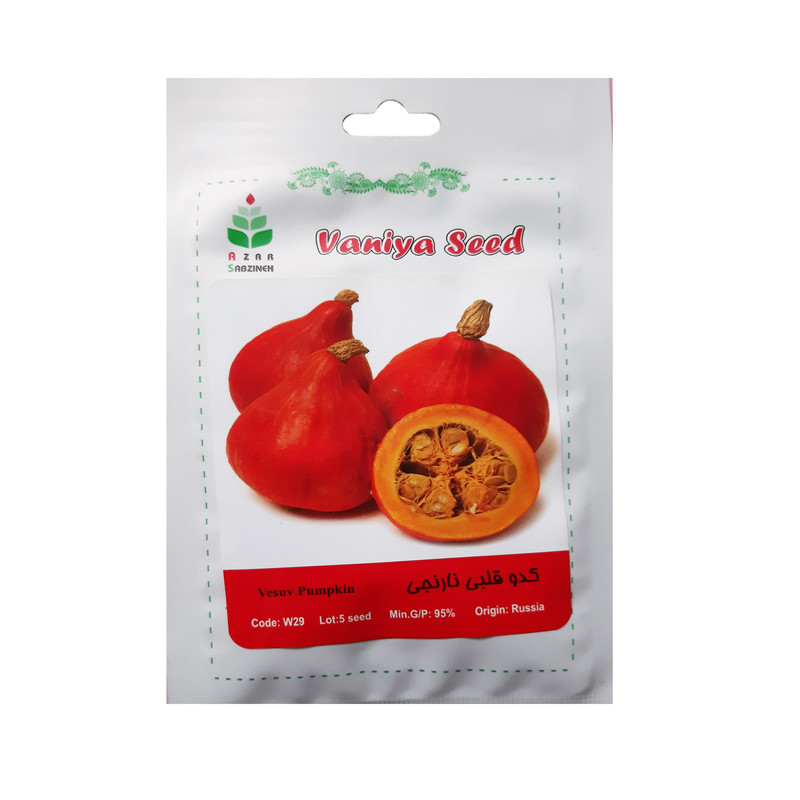 بذر کدو قلبی نارنجی آذر سبزینه مدل W29