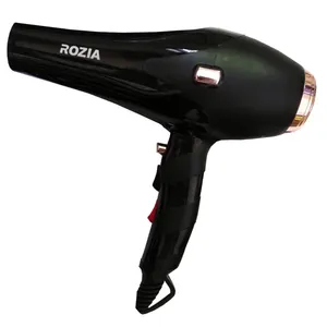 Rozia HC-8305 hair drayer