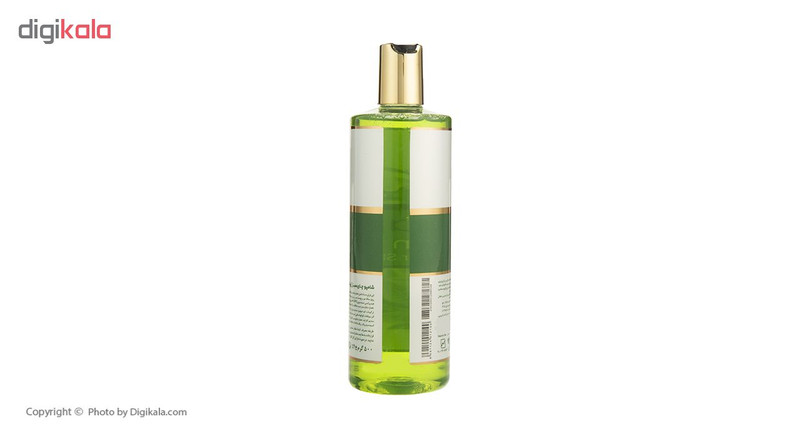 شامپو مو ژیوانا مدل Green Tea حجم 500 میلی لیتر