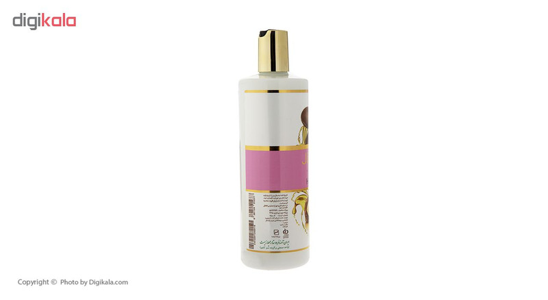 نرم کننده مو ژیوانا مدل Argan حجم 500 میلی لیتر