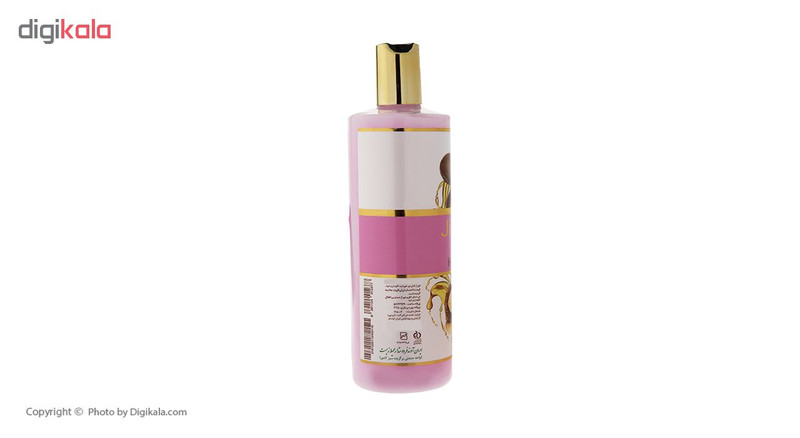 نرم کننده مو ژیوانا مدل Argan حجم 500 میلی لیتر نرم کننده مو ژیوانا مدل Argan حجم 500 میلی لیتر