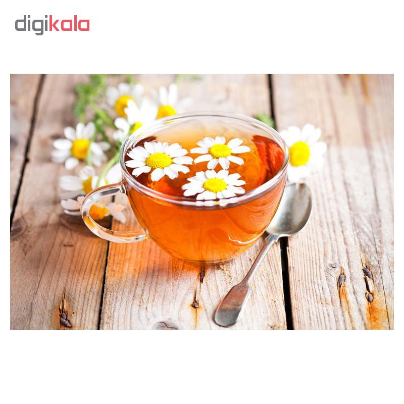 چای ساز ریوالد مدل ورلا کد 800900