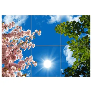 تایل سقفی آسمان مجازی مدل AZ32038 سایز 60*60 سانتی متر بسته 6 عددی 