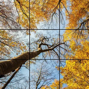 تایل سقفی آسمان مجازی مدل AZ33064 سایز 60*60 سانتی متر بسته 9 عددی