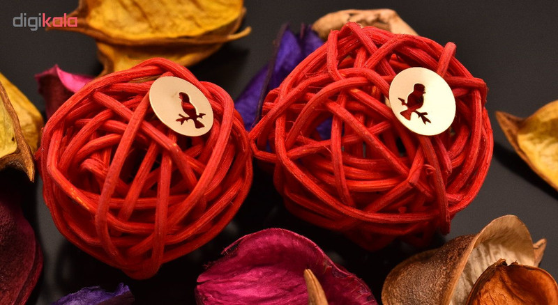 گوشواره نقره زنانه طرح پرنده کد 2707 گوشواره نقره زنانه طرح پرنده کد 2707