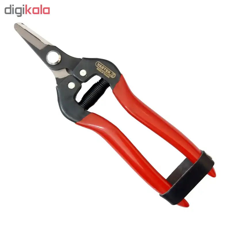 قیچی میوه چینی واستر مدل VG010S