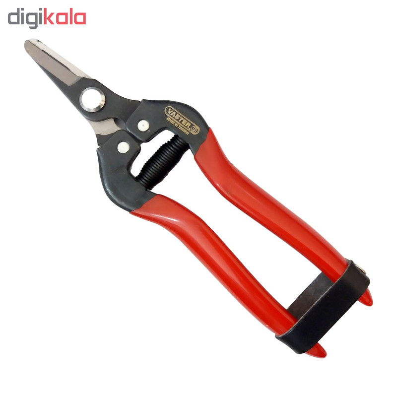 قیچی میوه چینی واستر مدل VG010S