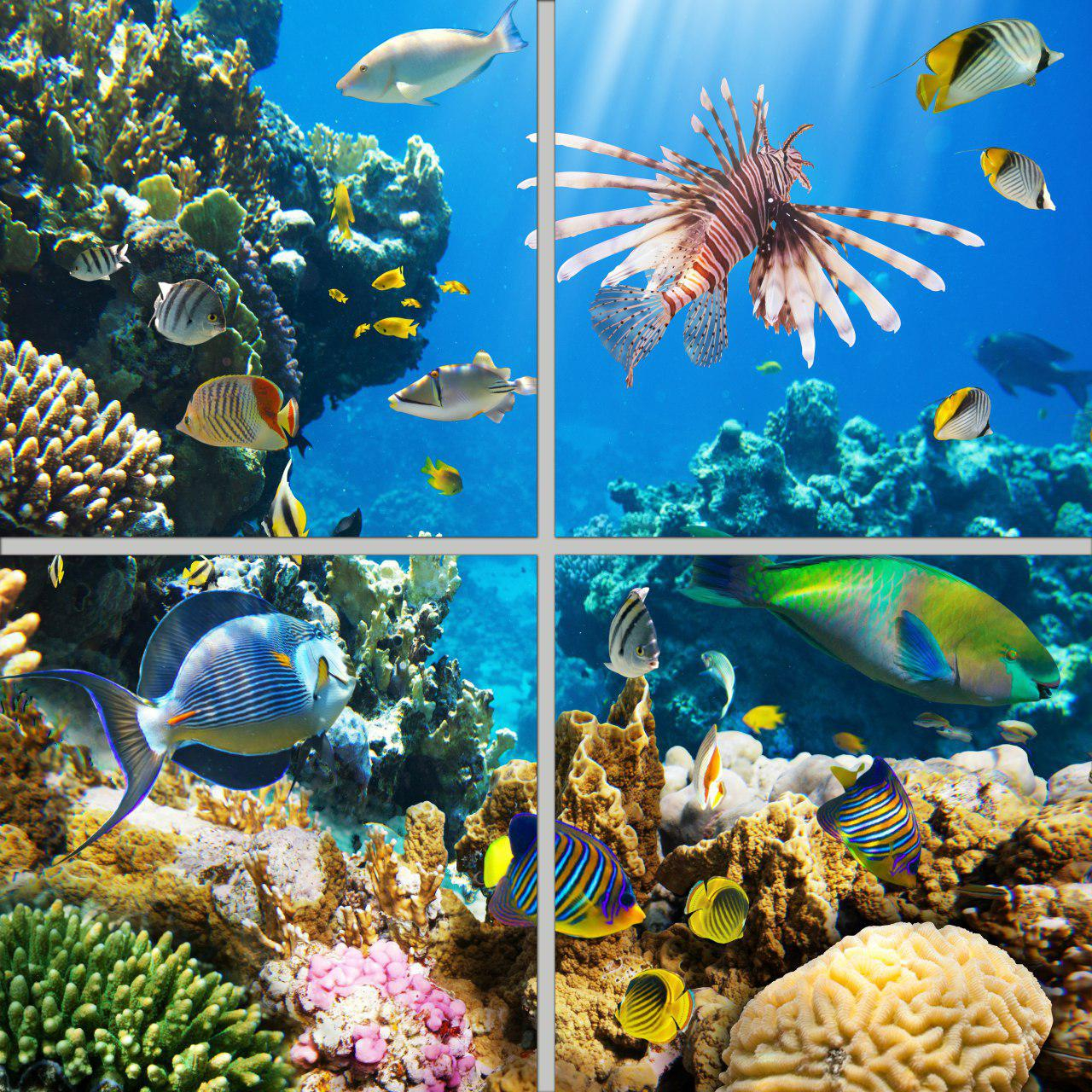 تایل سقفی مدل AZ22010 سایز 60*60 سانتی متر بسته 4 عددی