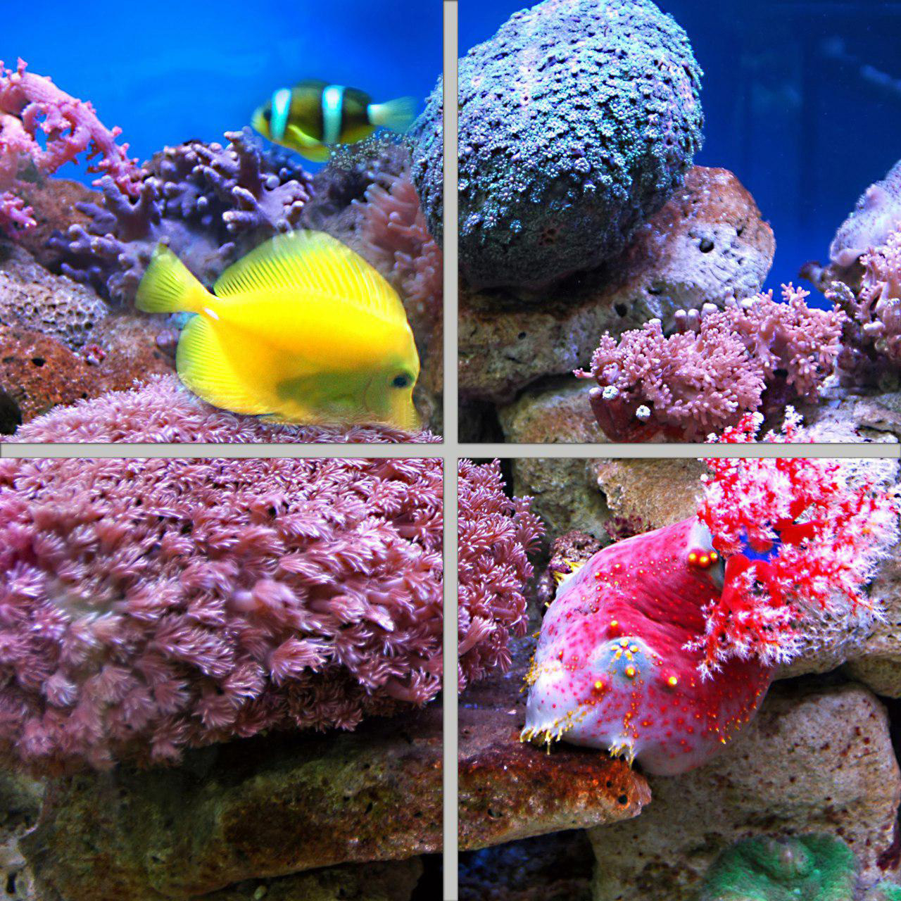 تایل سقفی مدل AZ22011 سایز 60*60 سانتی متر بسته 4 عددی