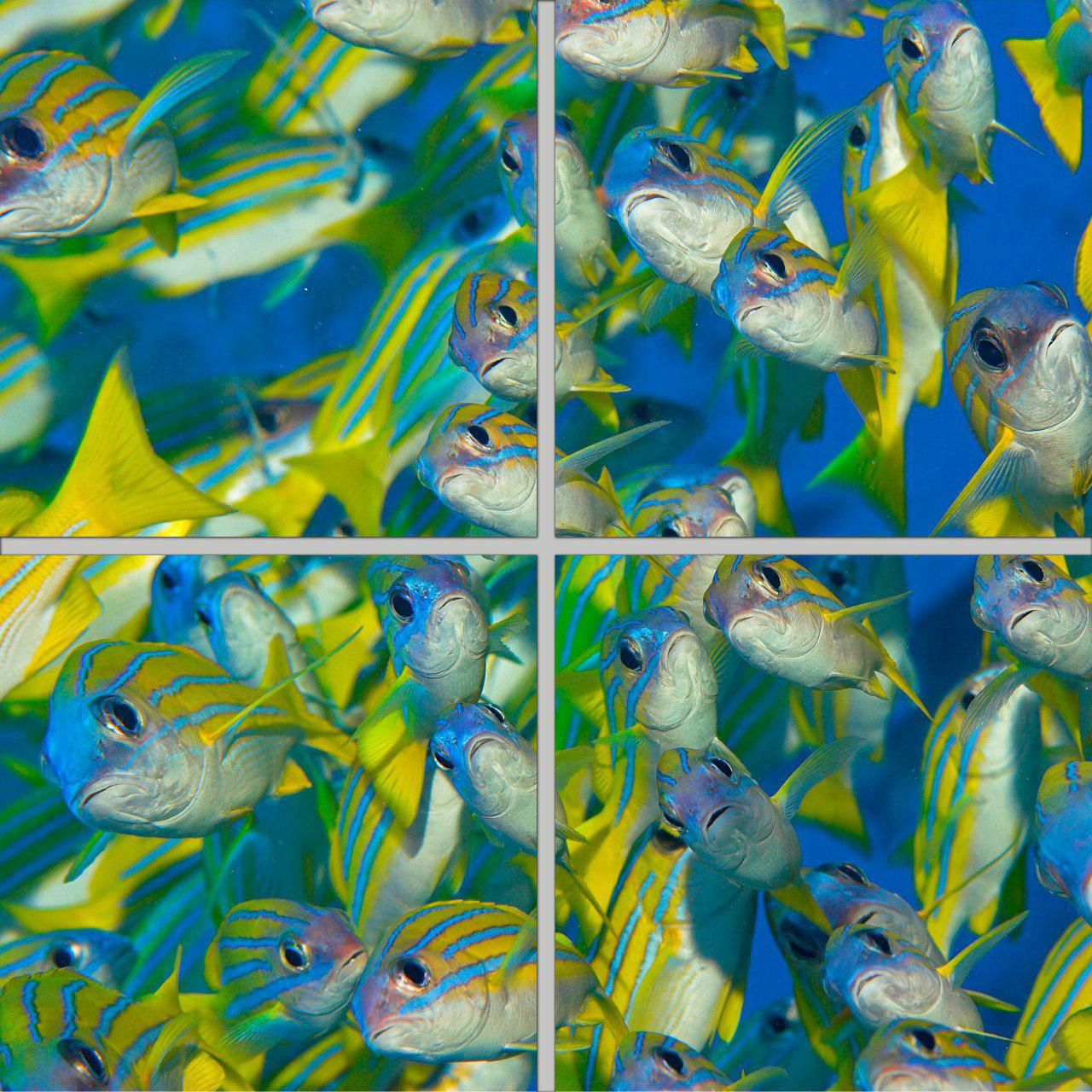 تایل سقفی مدل AZ22013 سایز 60*60 سانتی متر بسته 4 عددی