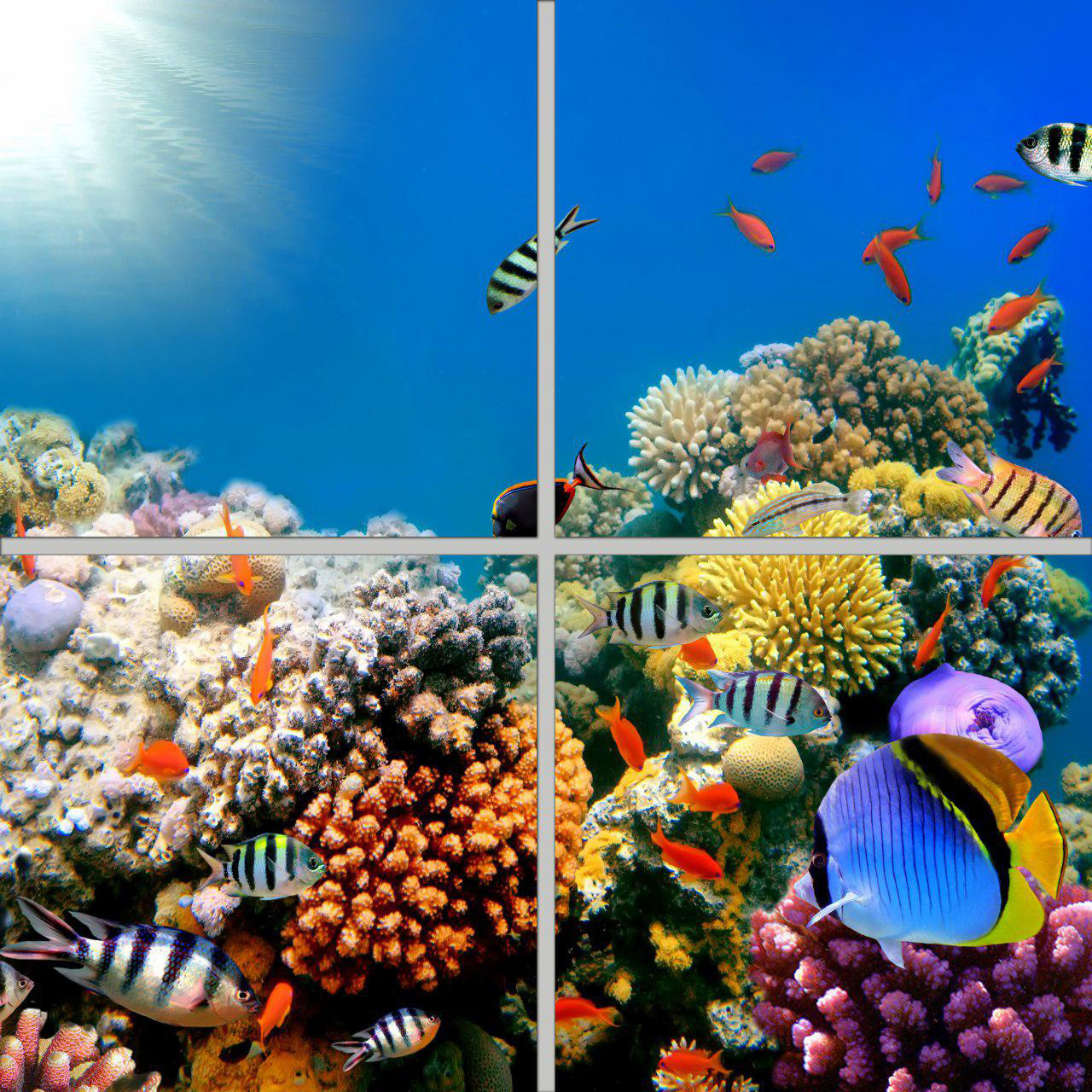 تایل سقفی مدل AZ22017 سایز 60*60 سانتی متر بسته 4 عددی