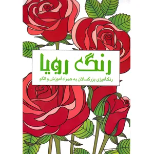کتاب رنگ رویا اثر پریسا ذوالریاستین نشر نیلفام