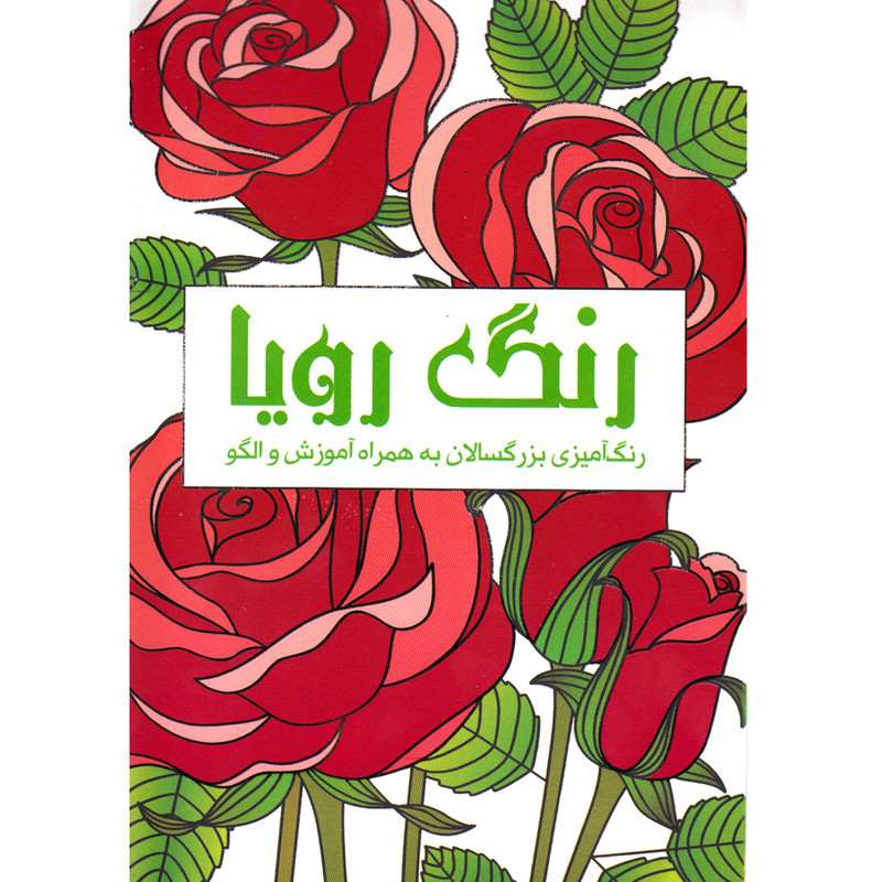 کتاب رنگ رویا اثر پریسا ذوالریاستین نشر نیلفام