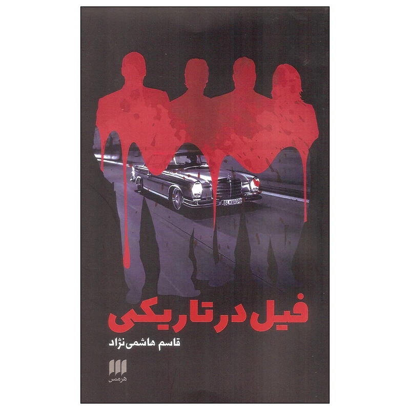 کتاب فیل در تاریکی اثر قاسم هاشمی نژاد انتشارات هرمس