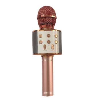 میکروفون اسپیکر مدل WS-858