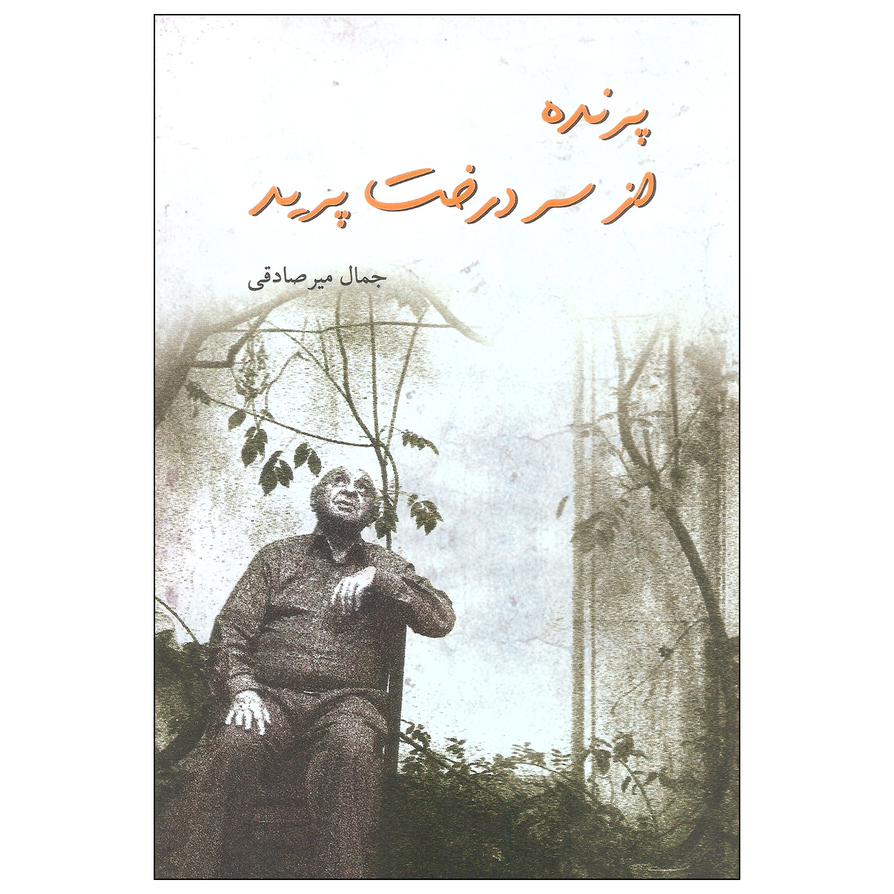کتاب پرنده از سر درخت پرید اثر جمال میرصادقی نشر شالان