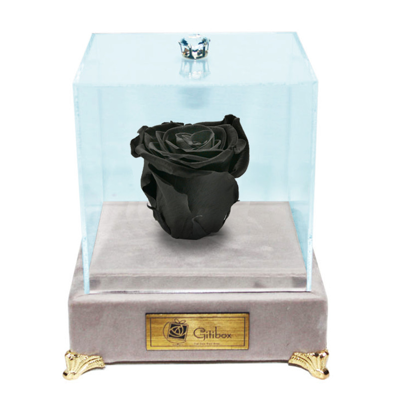 جعبه گل ماندگار گیتی باکس مدل رز جاودان مشکی لاکچری ملانژ