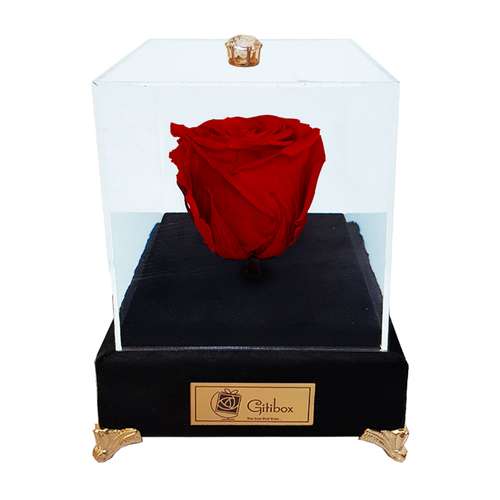 جعبه گل ماندگار گیتی باکس مدل رز جاودان قرمز لاکچری آبنوس - سایز گل معمولی