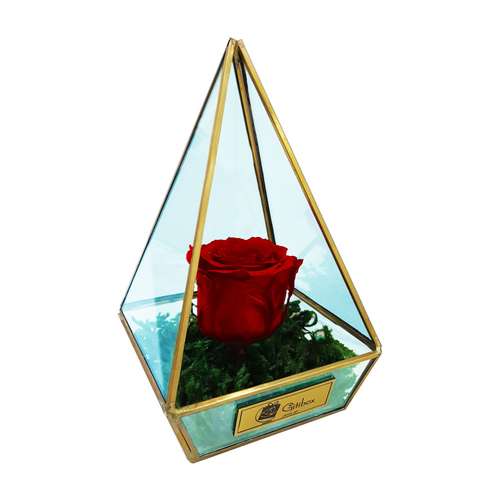 جعبه گل ماندگار گیتی باکس مدل رز جاودان قرمز تیره الماس