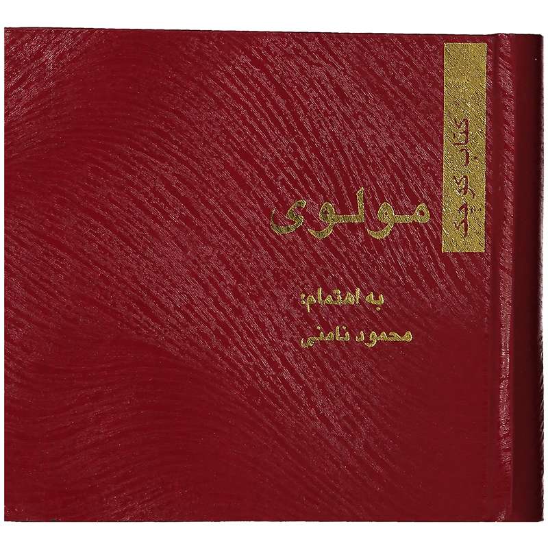 کتاب مولوی اثر محمود نامنی