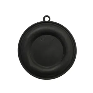 دیافراگم آبگرمکن بوتان مدل B15