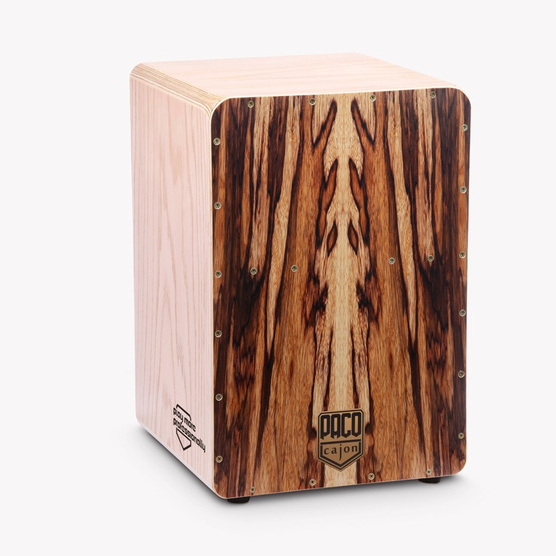 کاخن پاکو مدل مستر طرح مولانا