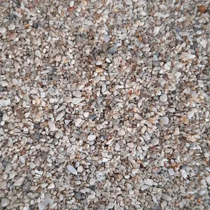 ماسه تزیینی آکواریوم مدل دریا وزن 1 کیلوگرم