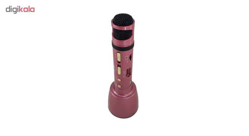 میکروفن اسپیکر وستر مدل SA-2811