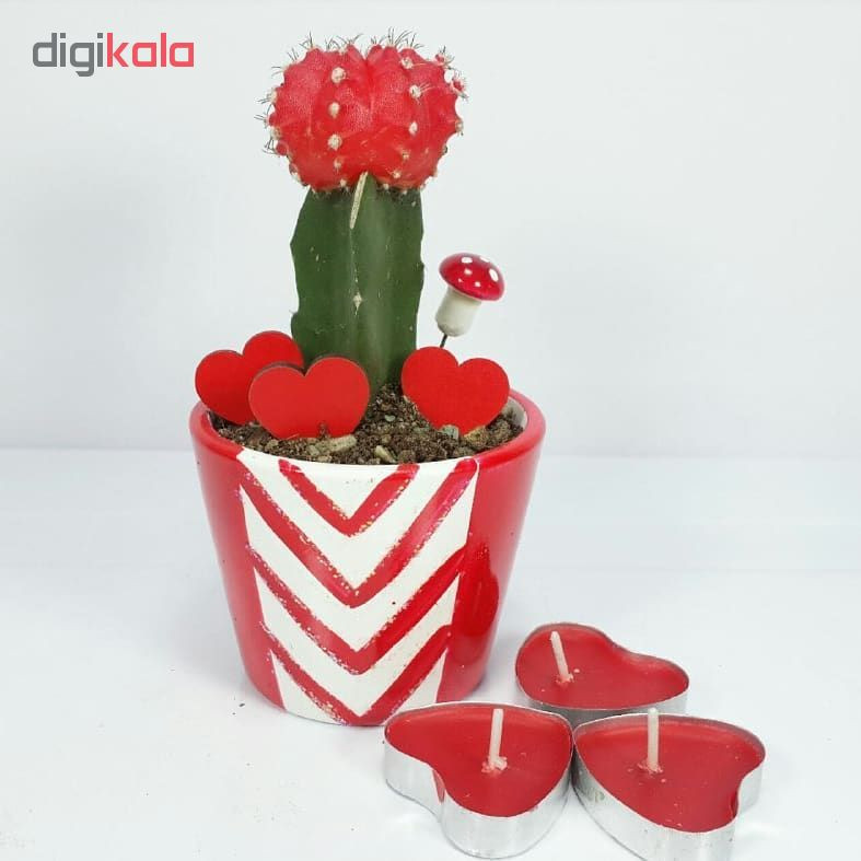 گلدان کد 116 گلدان کد 116