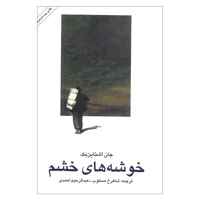 کتاب خوشه های خشم اثر جان اشتاین بک نشر امیر کبیر 