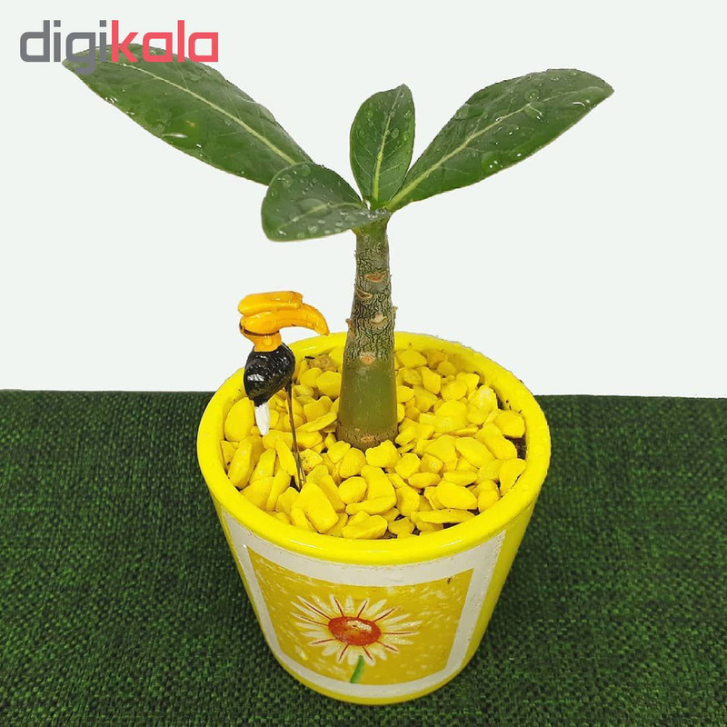 تاپر گلدان طرح حیوانات کد TO104 مجموعه 4 عددی