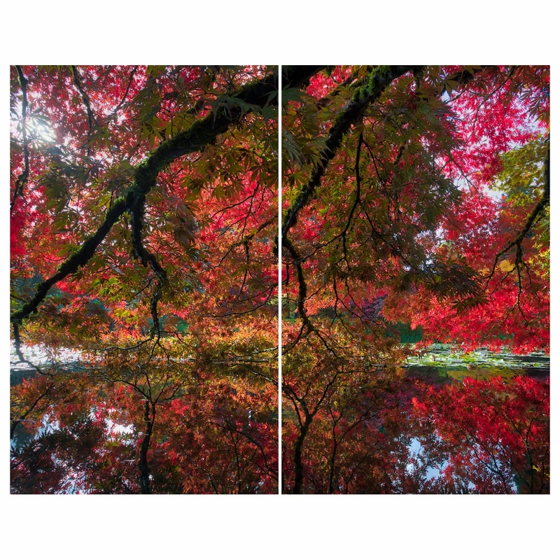 استیکر شیشه طرح پاییز مجموعه 2 عددی