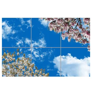 تایل سقفی آسمان مجازی مدل AZ32025 سایز 60*60 سانتی متر مجموعه 6 عددی