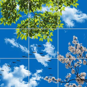 تایل سقفی آسمان مجازی مدل AY33110 سایز 60*60 مجموعه 9 عددی