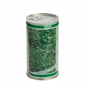 بذر شبدر دایکوندرا مدل DICH100 وزن 1000 گرم